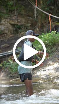 BIB:  <button type="button" onclick="openModal(27694637)" class="btn btn-primary btn-sm float-right" data-toggle="modal" data-target=".modal-high-quality">
                <i class="fa fa-download"></i> Download
                </button>